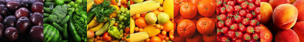 blueprint services san francisco